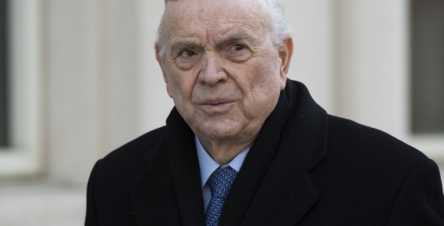 Macaque in the trees