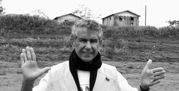 Macaque in the trees