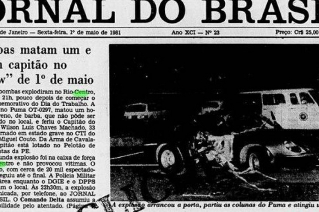 Macaque in the trees