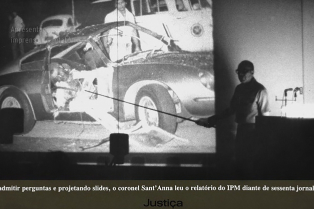 Macaque in the trees