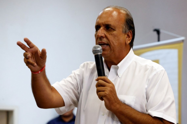 Macaque in the trees