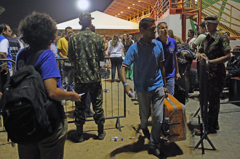 Macaque in the trees