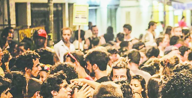 Macaque in the trees