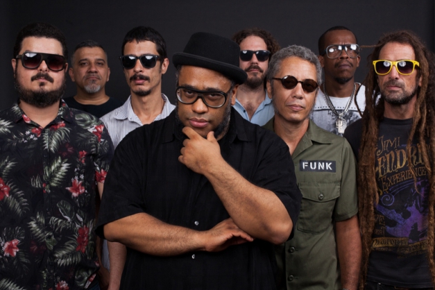 Macaque in the trees