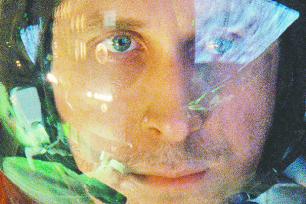 Macaque in the trees