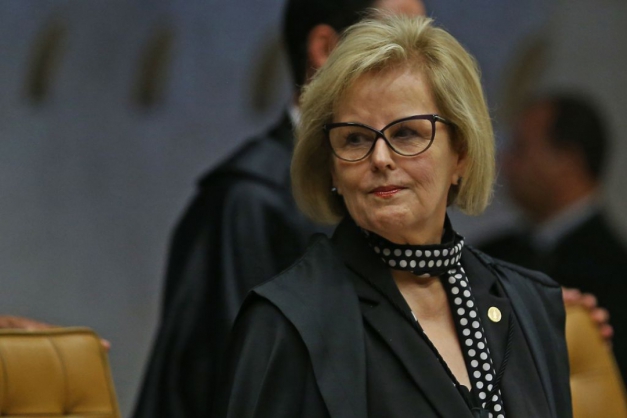 Macaque in the trees