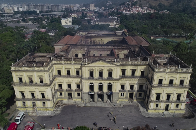 Macaque in the trees