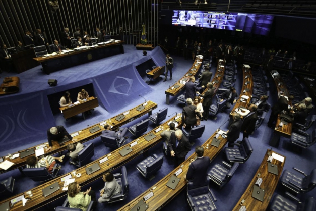Macaque in the trees