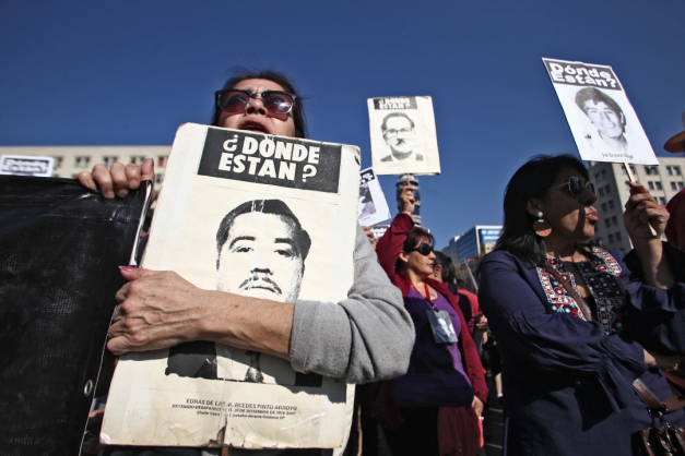 Macaque in the trees