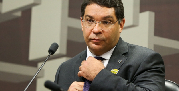 Macaque in the trees