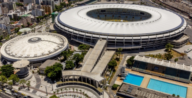 Macaque in the trees