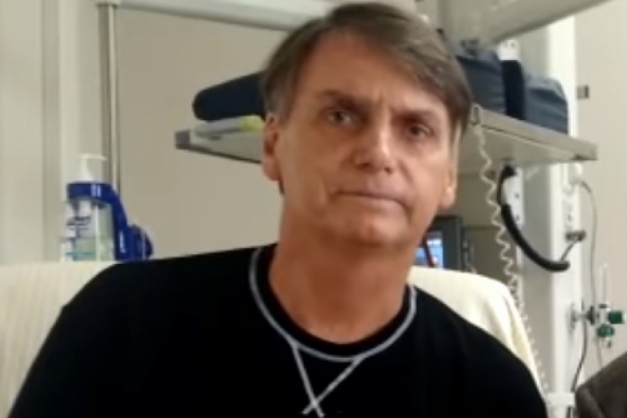 Macaque in the trees