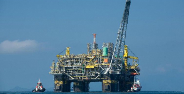 Macaque in the trees