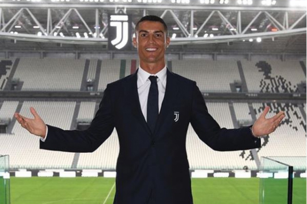 Macaque in the trees