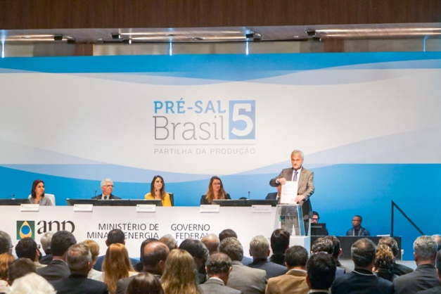 Macaque in the trees