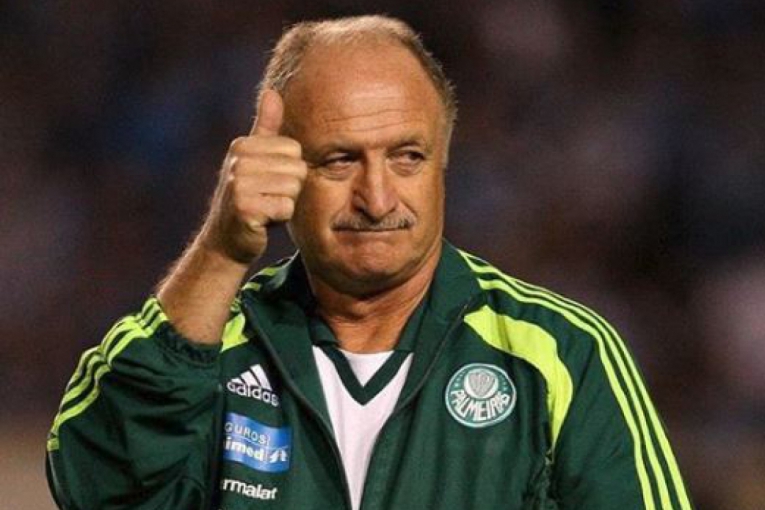 Macaque in the trees