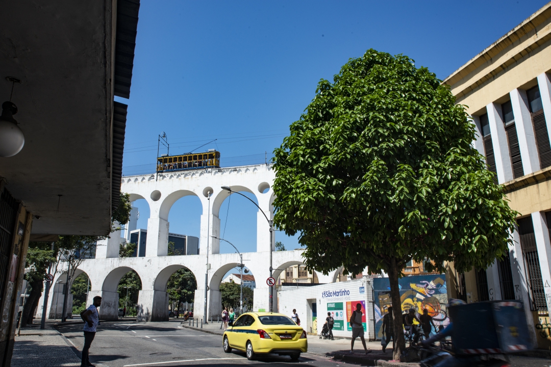 Pé de jambo e os Arcos da Lapa (Foto: Marcos Tristão / Jornal do Brasil)