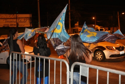 Macaque in the trees
