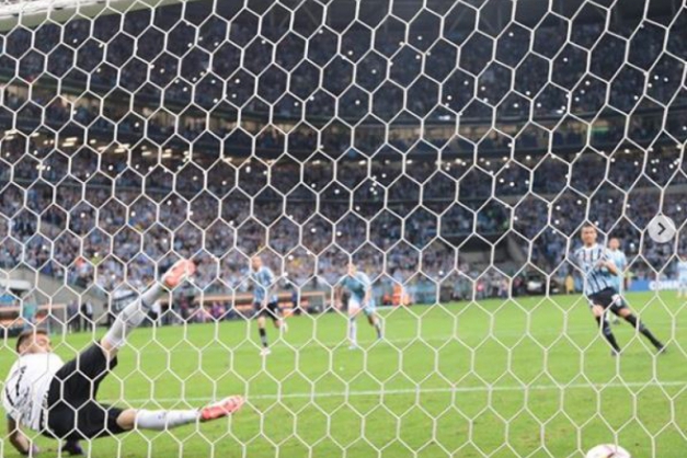 Macaque in the trees