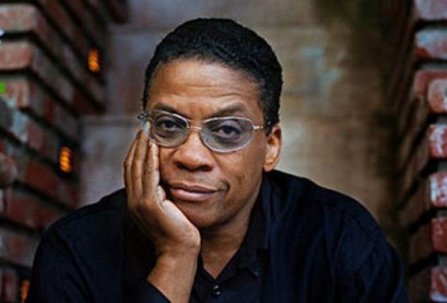 Macaque in the trees