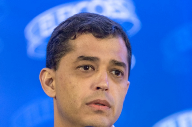 Macaque in the trees