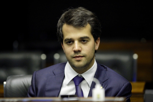 Macaque in the trees