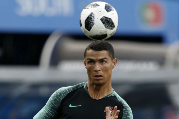 Macaque in the trees