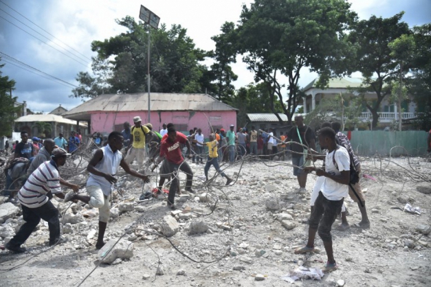Macaque in the trees