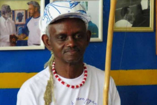 Macaque in the trees