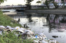 70,4% dos domic&iacute;lios com acesso &agrave; rede geral Dde esgoto incluem os endere&ccedil;os com liga&ccedil;&atilde;o do banheiro a uma rede coletora e ainda as resid&ecirc;ncias com fossa s&eacute;ptica ligada &agrave; rede