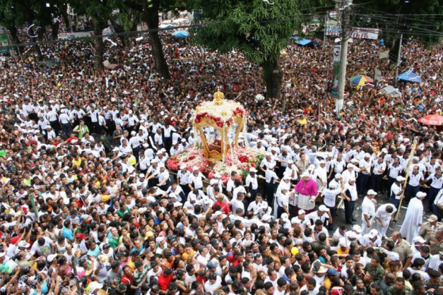 Macaque in the trees