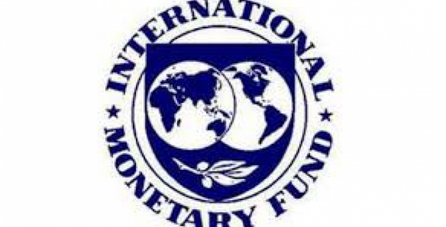 Macaque in the trees