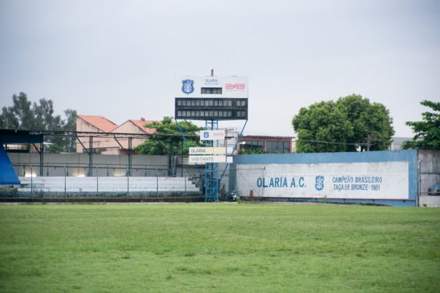 Macaque in the trees