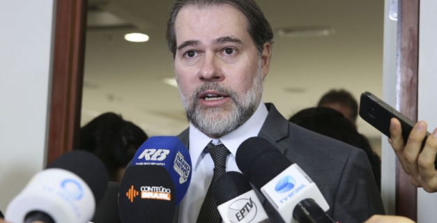 Macaque in the trees