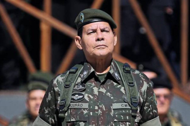 Macaque in the trees