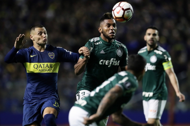 Macaque in the trees