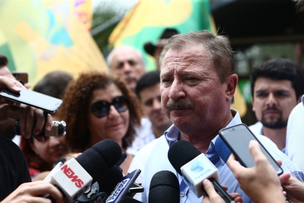 Macaque in the trees