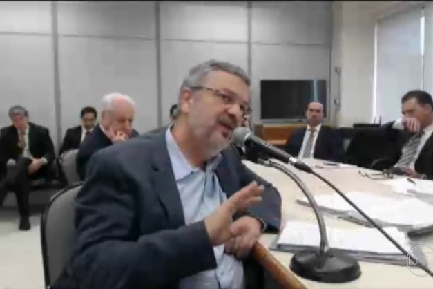 Macaque in the trees