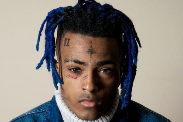 Macaque in the trees