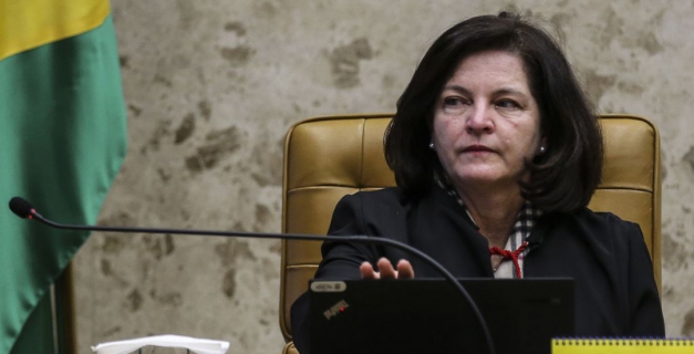 Macaque in the trees