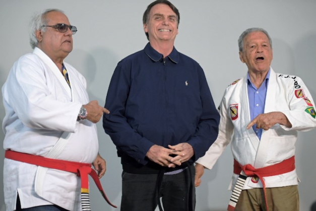 Macaque in the trees