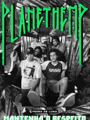 Macaque in the trees