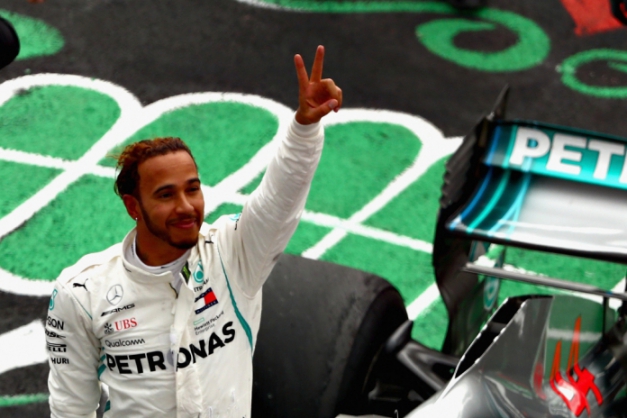 Macaque in the trees