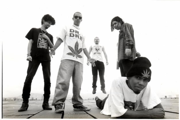 Macaque in the trees