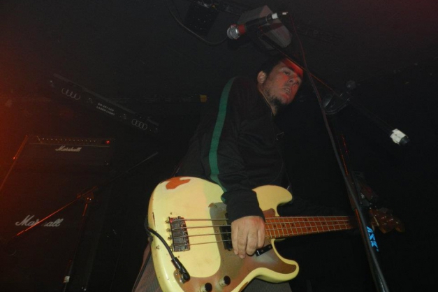 Macaque in the trees