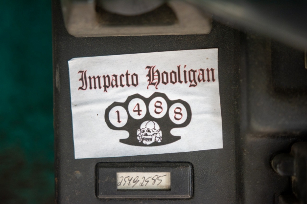 Macaque in the trees