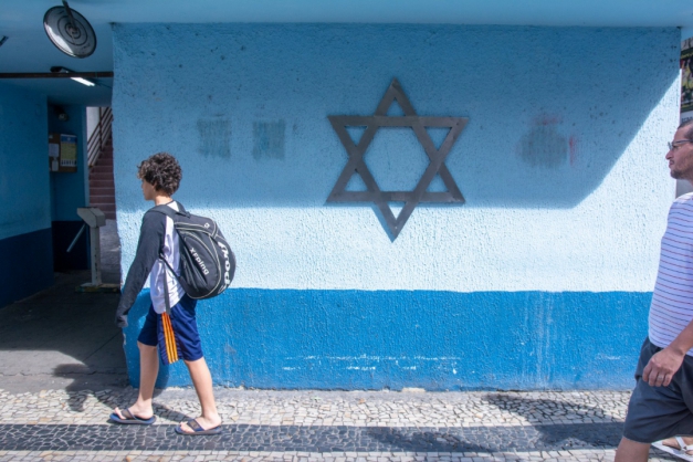 Macaque in the trees