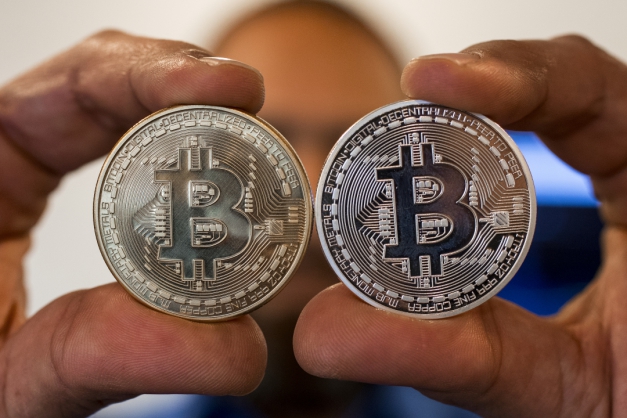 Representação visual da criptomoeda Bitcoin. Só em São Paulo são 27 processos contra o grupo Macaque in the trees