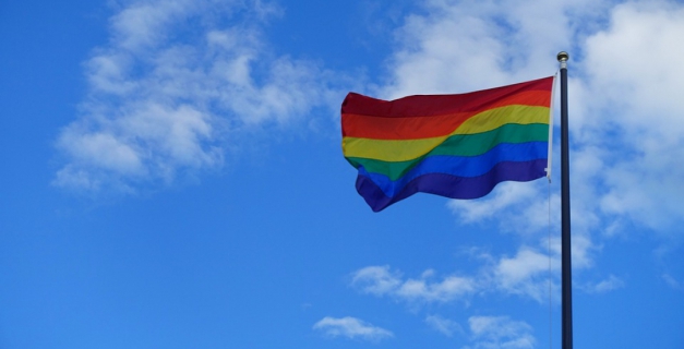 Macaque in the trees