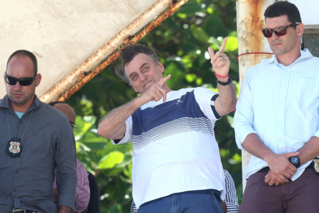 Macaque in the trees